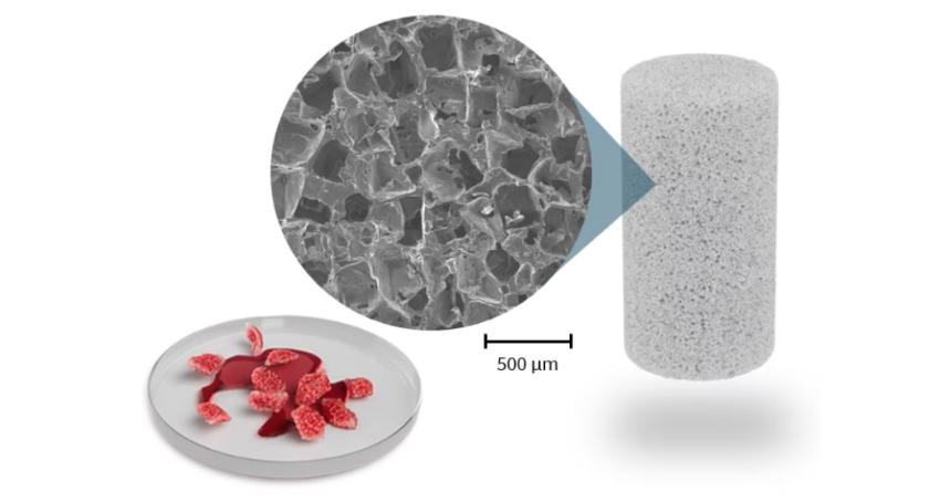 Acuitive Technologies Introduces New Bone Graft Substitute